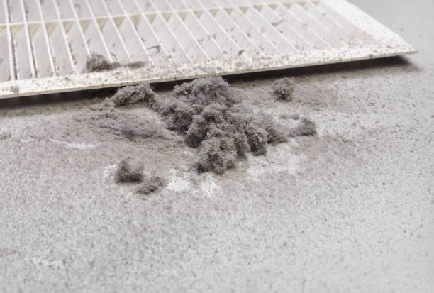Best Best Air Duct Cleaning Near Me  in Savanna, IL