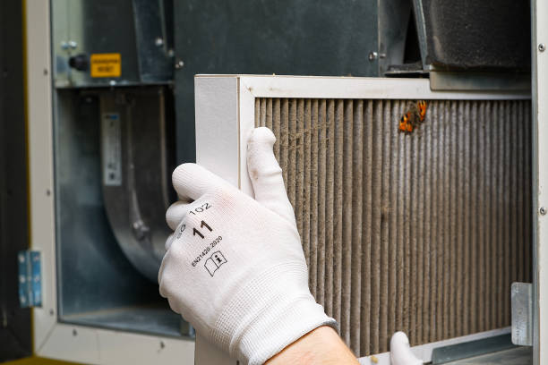 Best Affordable Duct Cleaning Services  in Savanna, IL